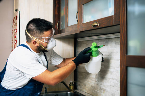 Best Commercial Pest Control Services  in Hamilton, MT