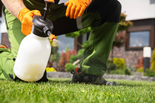 Best Mosquito Control Services  in Hamilton, MT