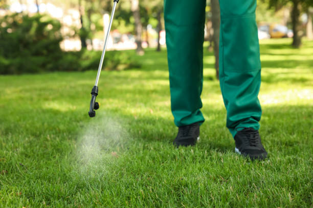 Best Flea Control Services  in Hamilton, MT