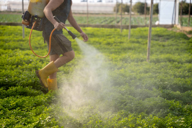Best Best Pest Control Companies  in Hamilton, MT