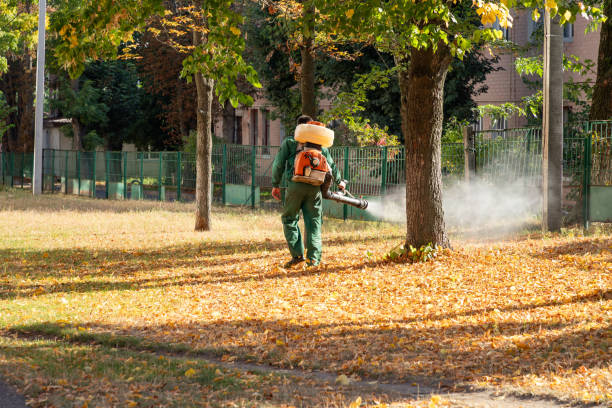 Best Pest Removal Services  in Hamilton, MT