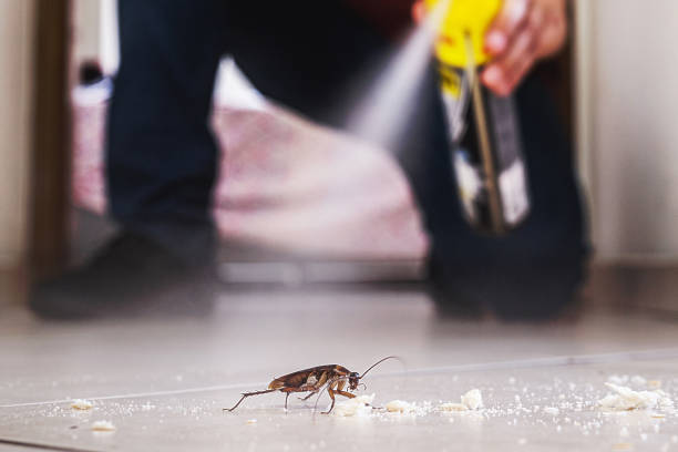Best Best Pest Control Companies  in Hamilton, MT