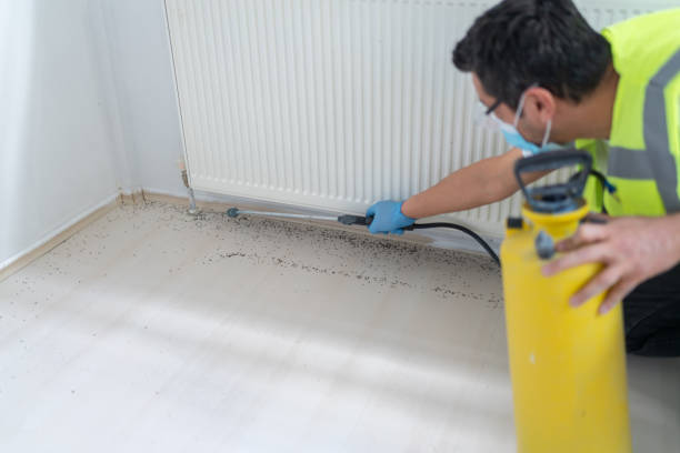 Best Best Pest Control Companies  in Hamilton, MT